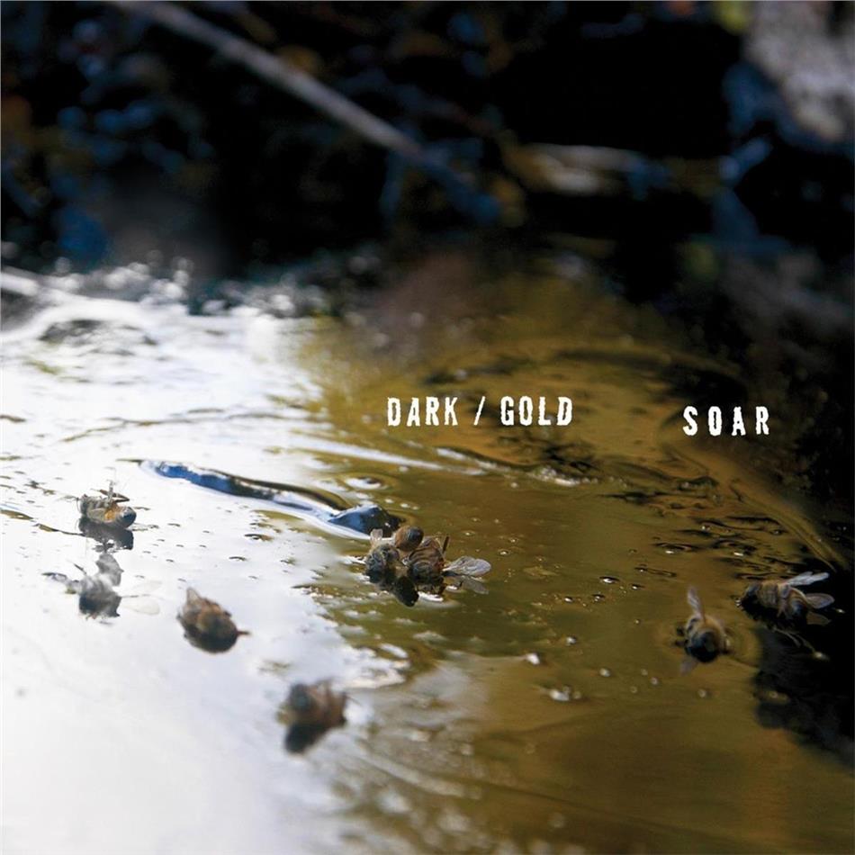 Soar - Dark / Gold LP