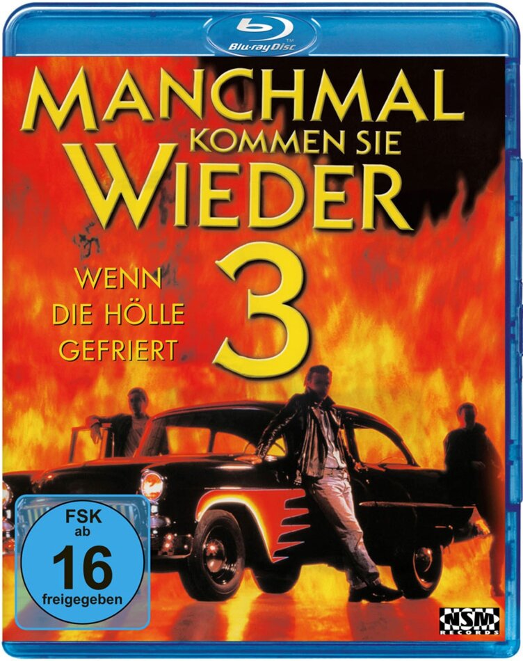 Manchmal kommen sie wieder 3 (1998)