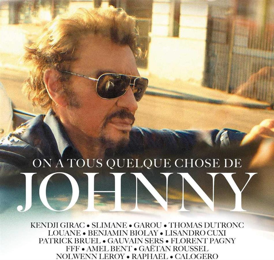 On A Tous Quelque Chose De Johnny 2 LPs