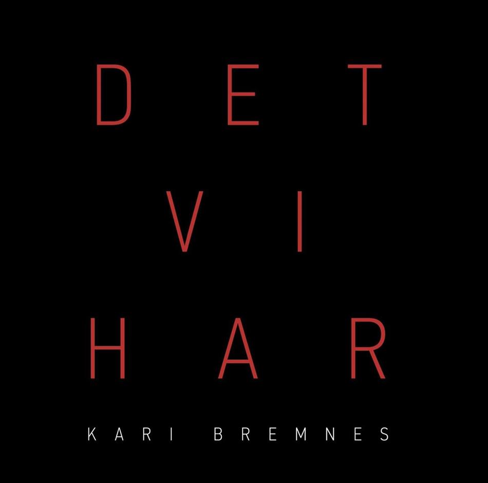 Kari Bremnes - Det Vi Har