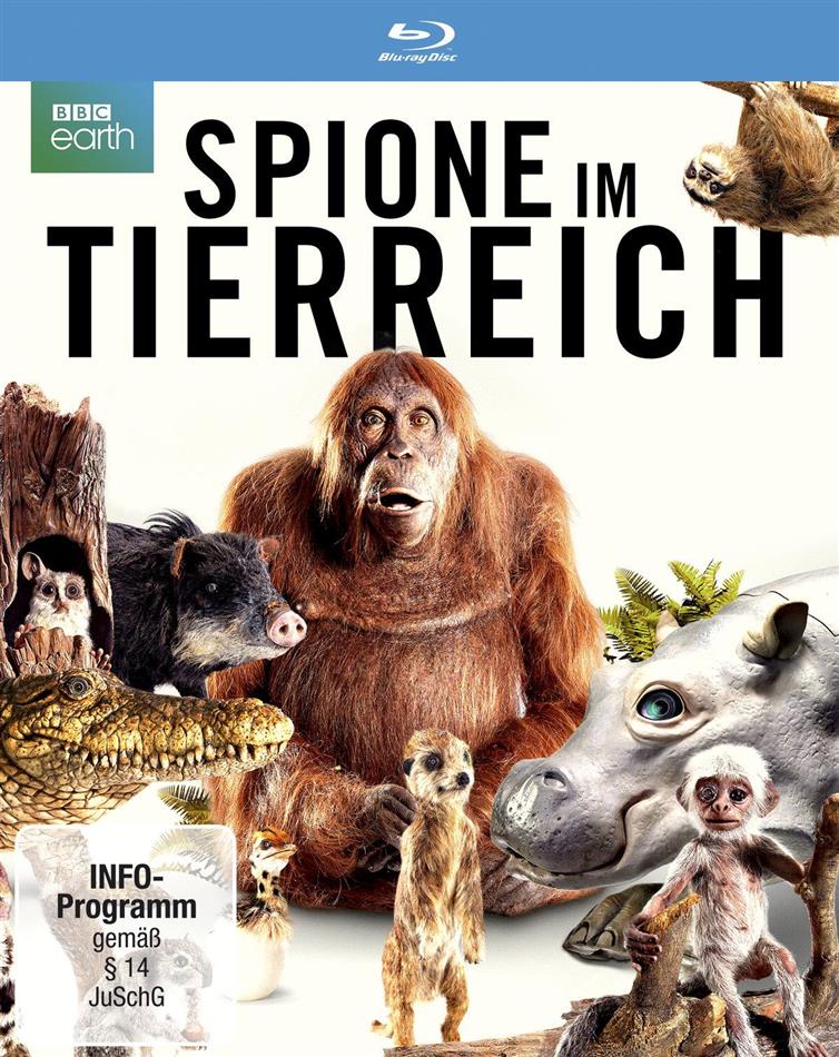 Spione im Tierreich BBC Earth