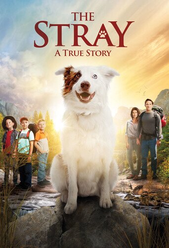 The Stray (2017)