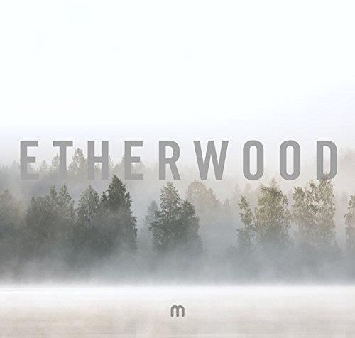Etherwood - In Stillness 3 LPs