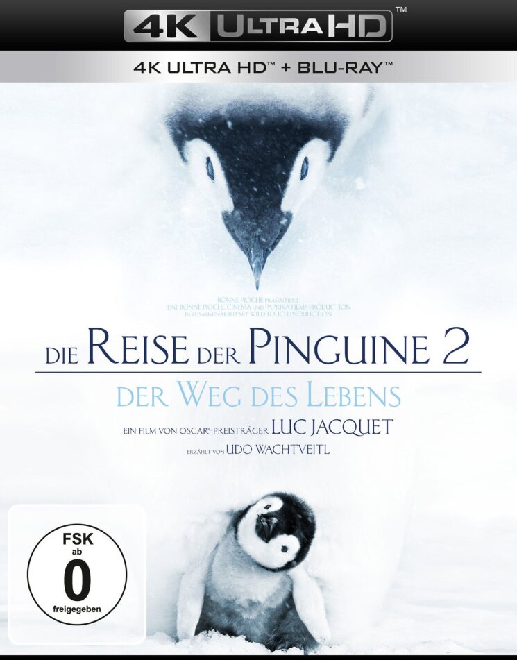 Die Reise der Pinguine 2 - Der Weg des Lebens (2017) 4K Ultra HD + Blu-ray