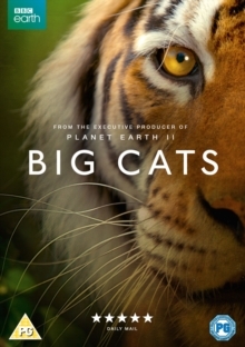 Big Cats BBC Earth