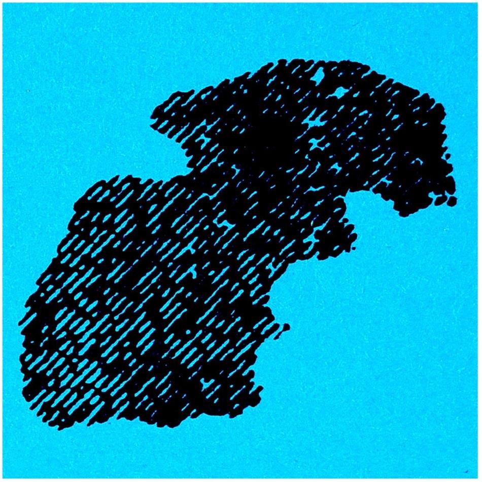 Max Eilbacher - A Crude Explanation Of Russel's Paradox