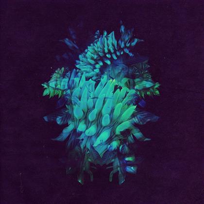 Fakear - All Glows (2 LPs)