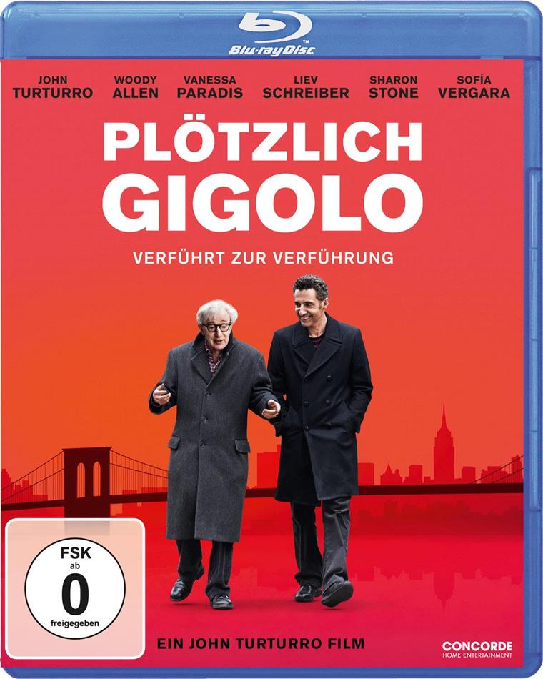 Plötzlich Gigolo (2013)