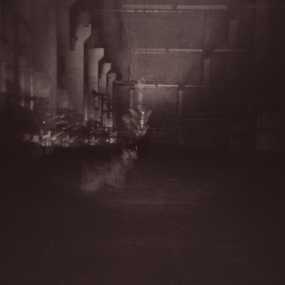 Dub Taylor - Caves & Cages 2 LPs