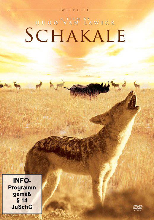 Schakale Wildlife