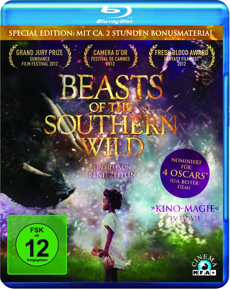 Beasts of the Southern Wild (2012)
