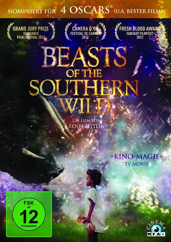 Beasts of the Southern Wild (2012)
