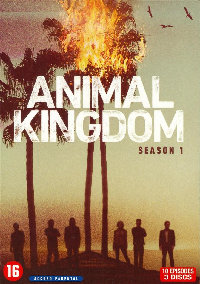 Animal Kingdom - Saison 1 3 DVD