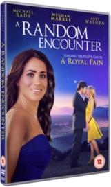 A Random Encounter (2013)
