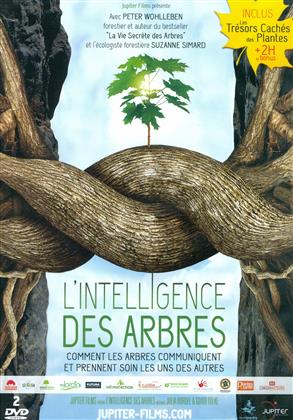 L'intelligence des arbres (2 DVD)