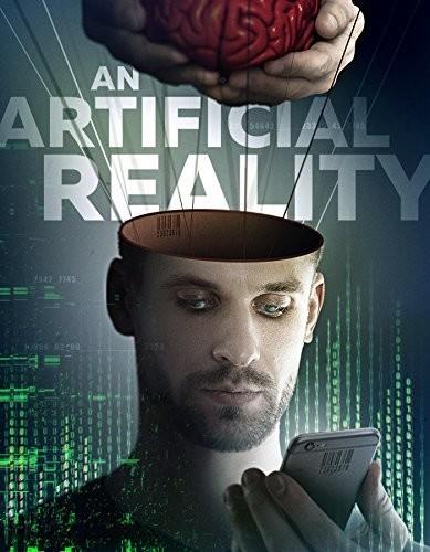 An Artificial Reality (2017)