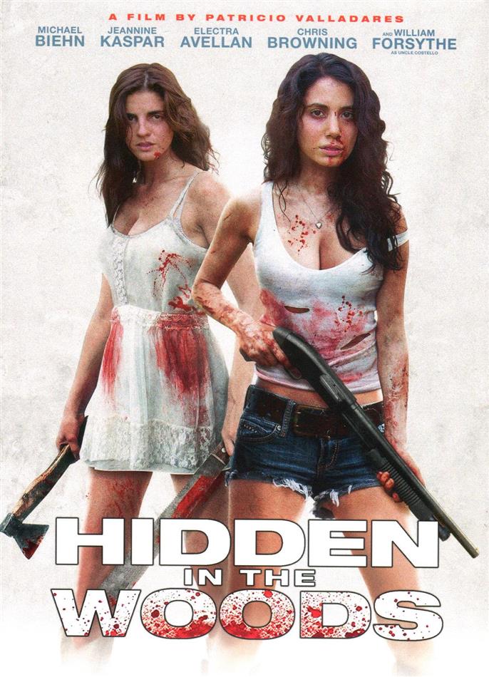Hidden in the Woods (2014) Cover B, Collector's Edition, Director's Cut, Limited Edition, Mediabook, Uncut, Blu-ray + 2 DVDs