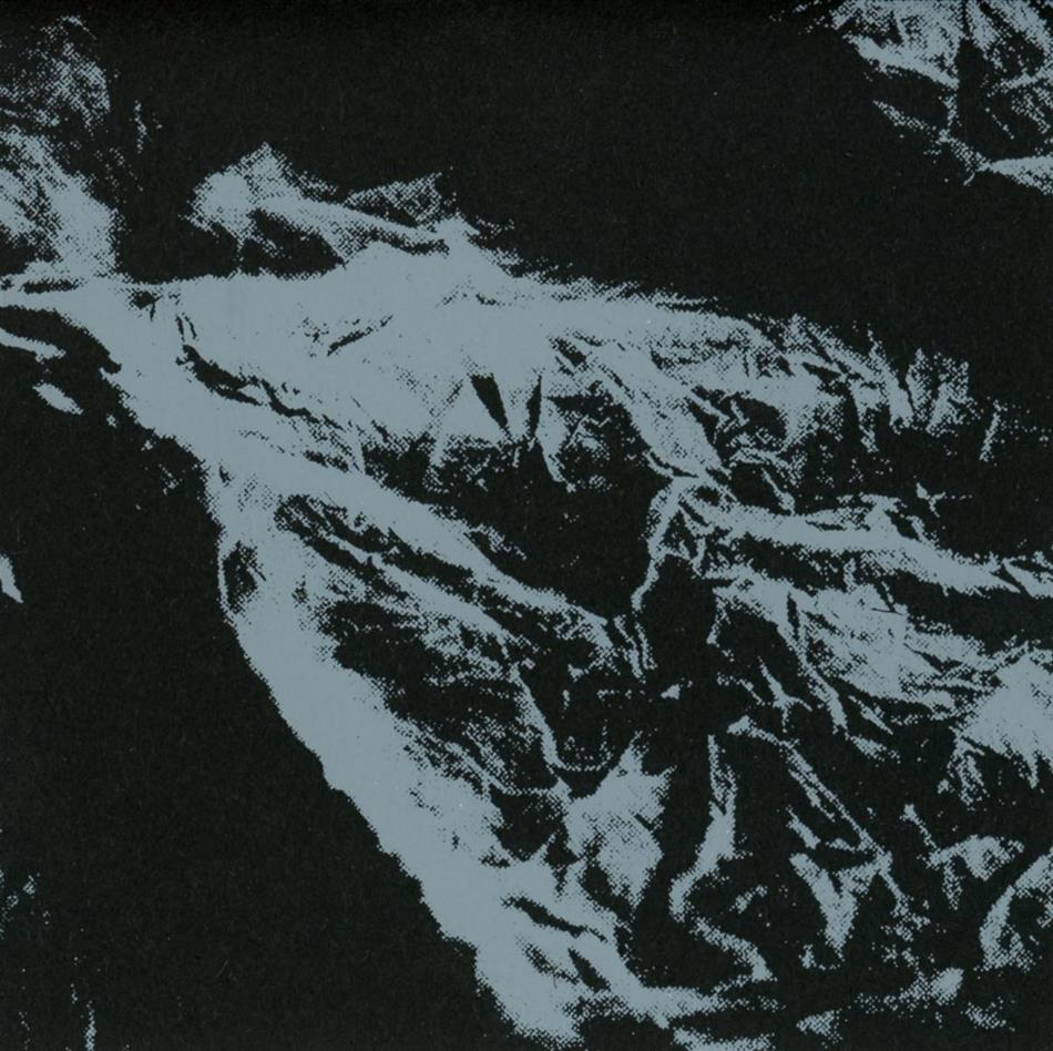 Julia Kent & Jean D.L. - Great Lake Swallows