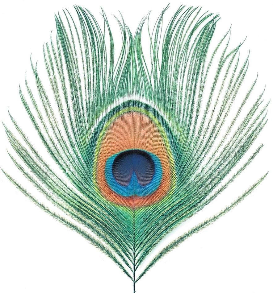 XTC - Apple Venus Vol.1 2018 Reissue, LP