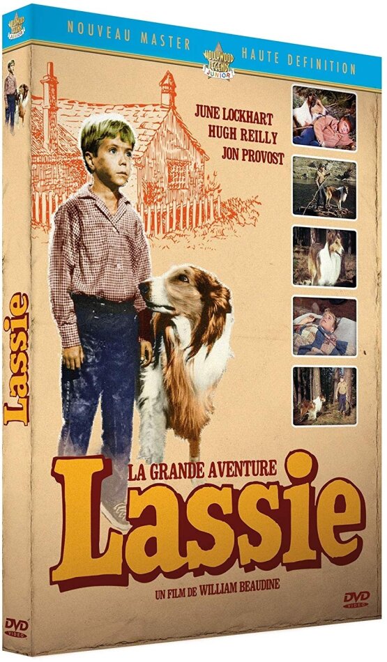 Lassie - La grande aventure (1963)