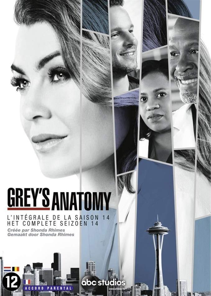 Grey's Anatomy - Saison 14 6 DVD