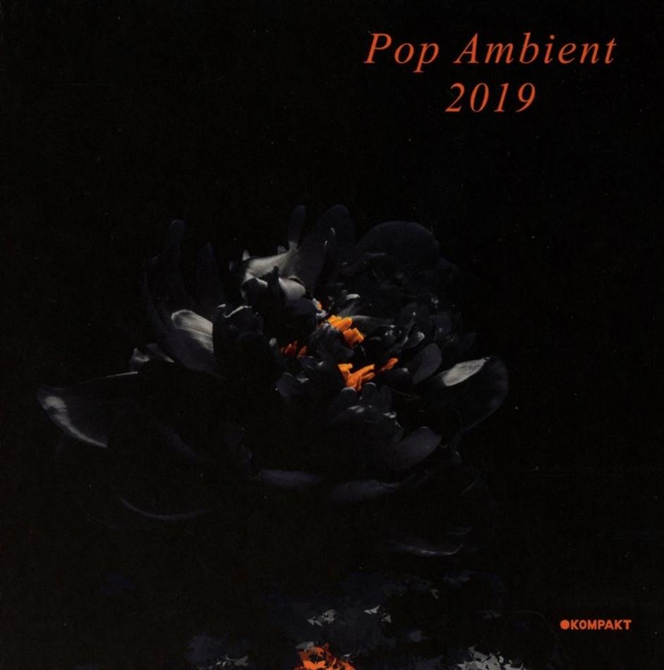 Pop Ambient 2019 Digipack