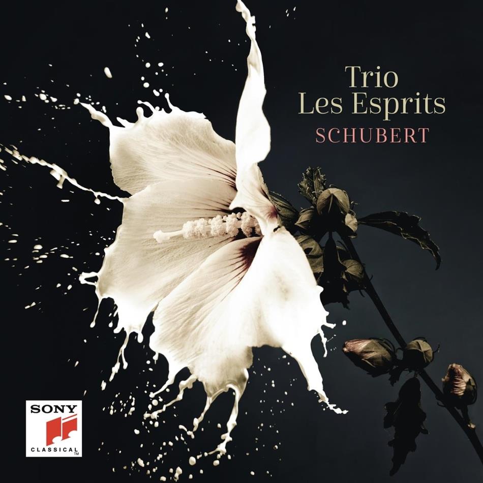 Trio Les Esprits - Schubert 2 CDs