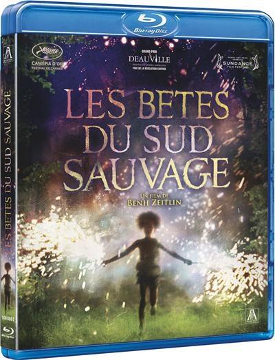 Les bêtes du sud sauvage (2012)