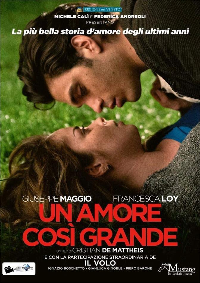 Un amore così grande (2018)