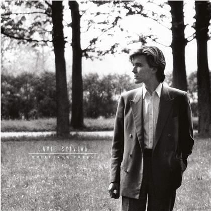 David Sylvian (Japan) - Brilliant Trees (2019 Reissue, LP)