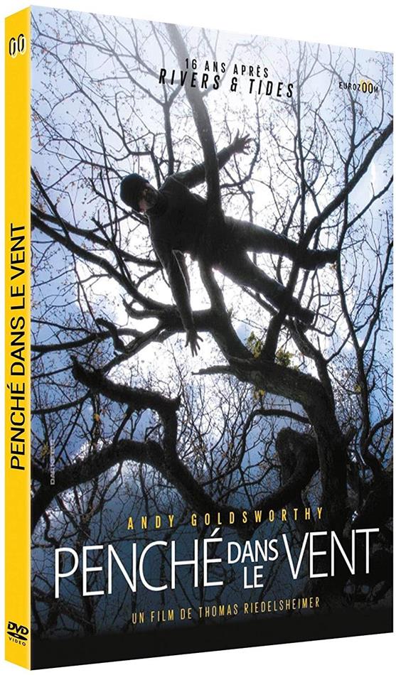 Penché dans le vent - Andy Goldsworthy (2017)