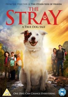 The Stray (2017)