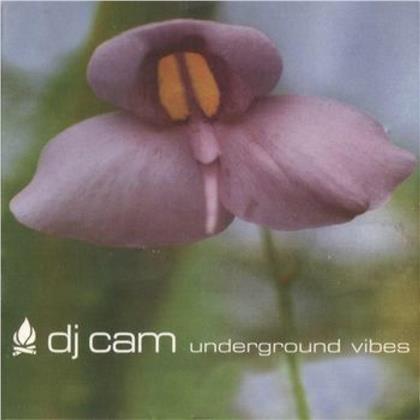 DJ Cam - Underground Vibes (2019 Release, LP)