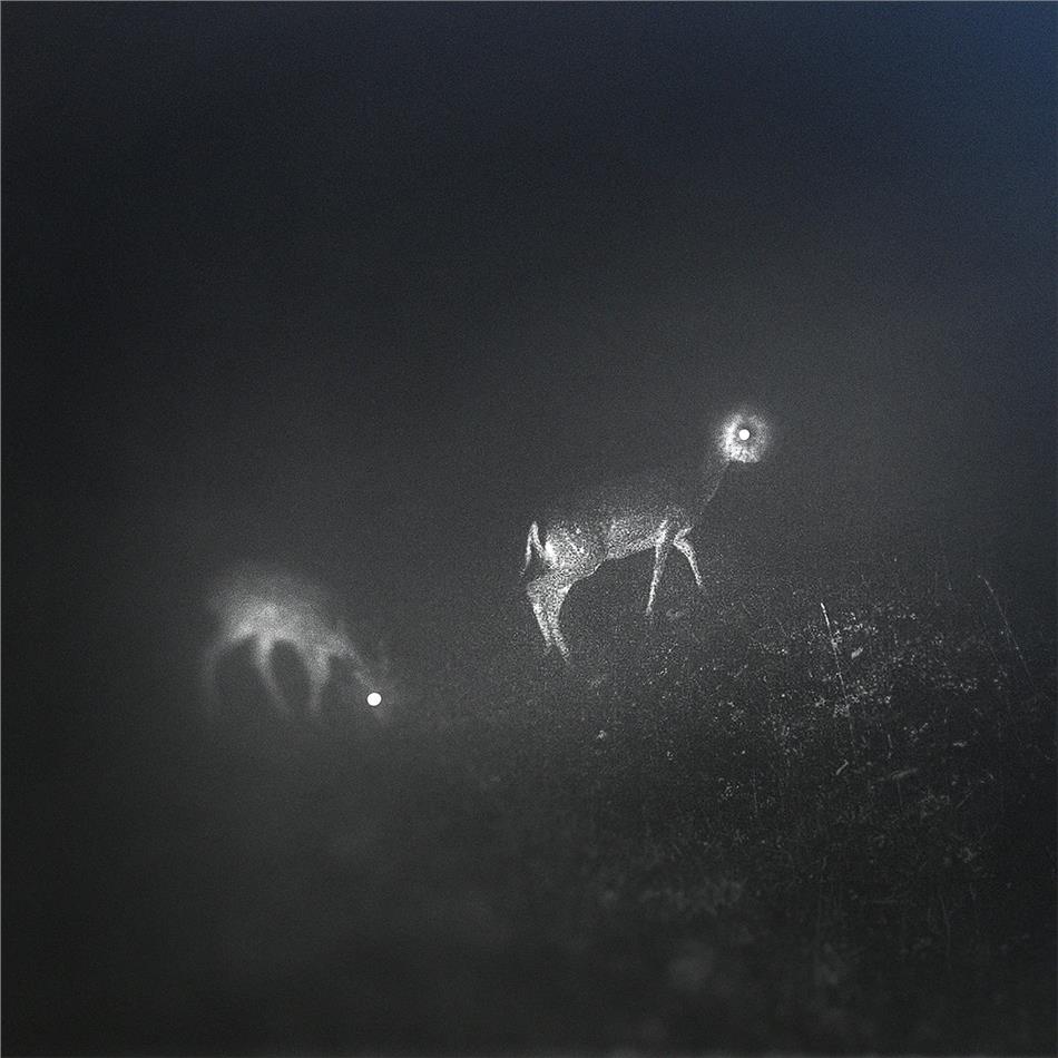 Bliss Signal - --- Limited Edition, LP