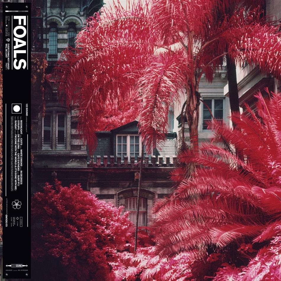 Foals - Everything Not Saved Will Be Lost Part 1 LP