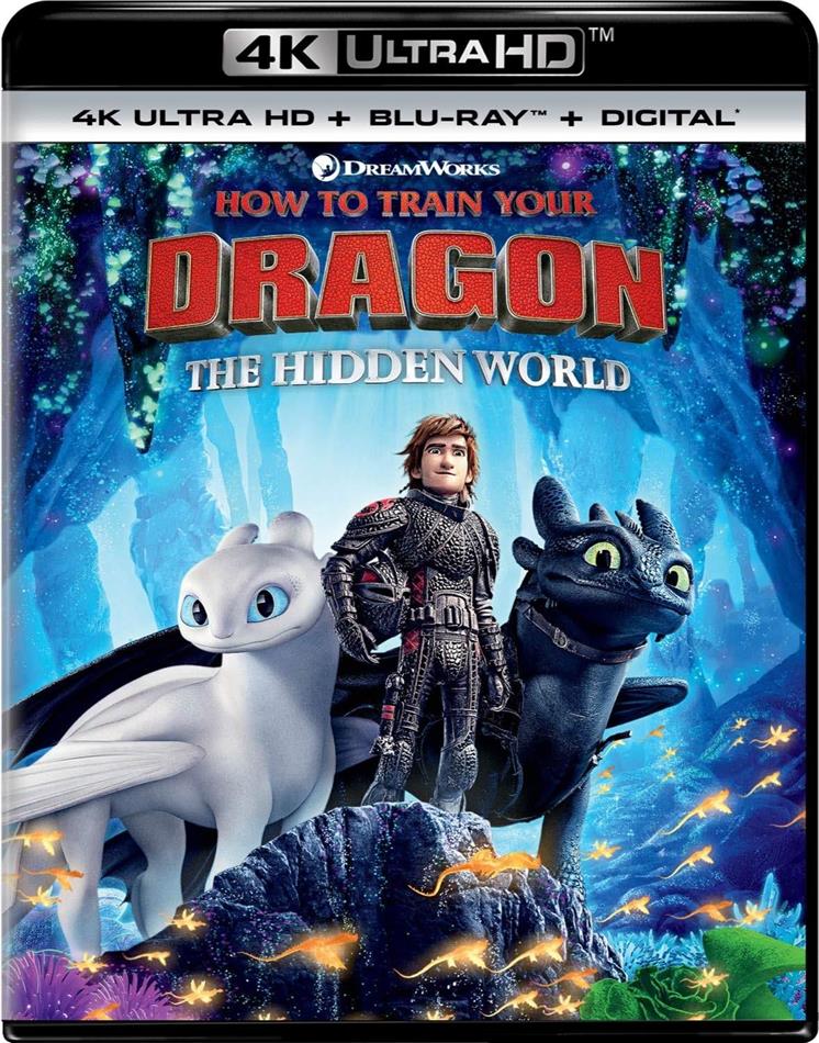 How To Train Your Dragon 3 - The Hidden World (2019) 4K Ultra HD + Blu-ray