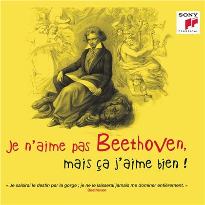 Ludwig van Beethoven (1770-1827) - Je n'aime pas Beethoven, mais &ccedil;a j'aime bien !