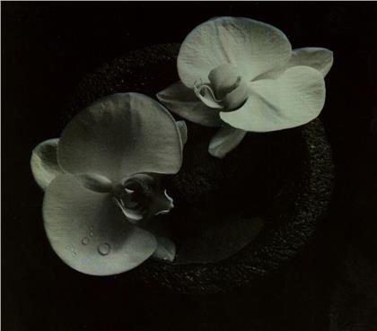 Mike Patton (Faith No More, Mr. Bungle) & Jean-Claude Vannier - Corpse Flower