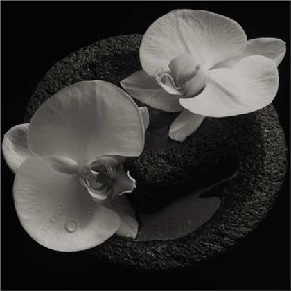 Mike Patton (Faith No More, Mr. Bungle) & Jean-Claude Vannier - Corpse Flower (LP)