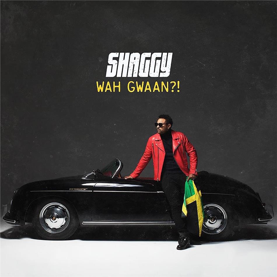 Shaggy - Wah Gwaan!? Light Green & Yellow Vinyl, 2 LPs