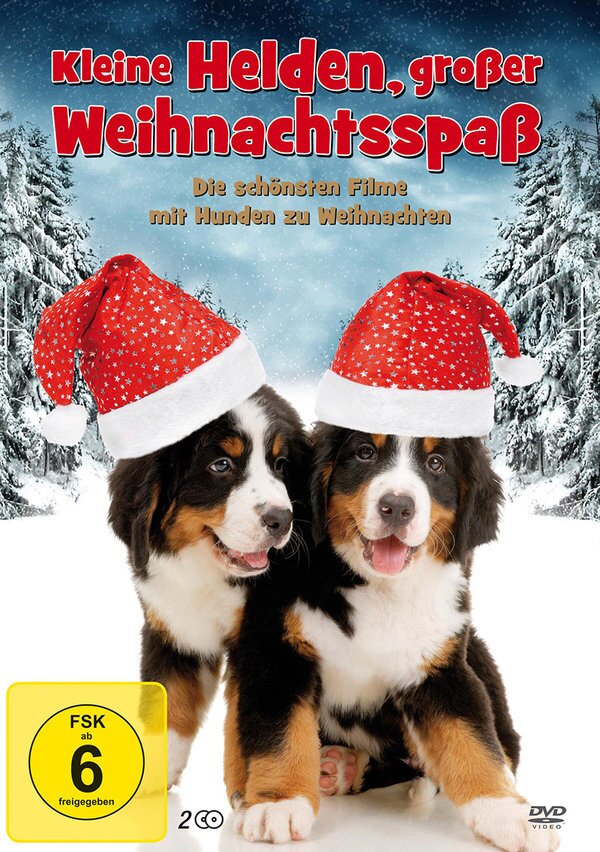Kleine Helden, grosser Weihnachtsspass 2 DVDs