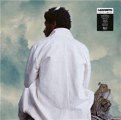 Labrinth - Misfit Kid (LP)