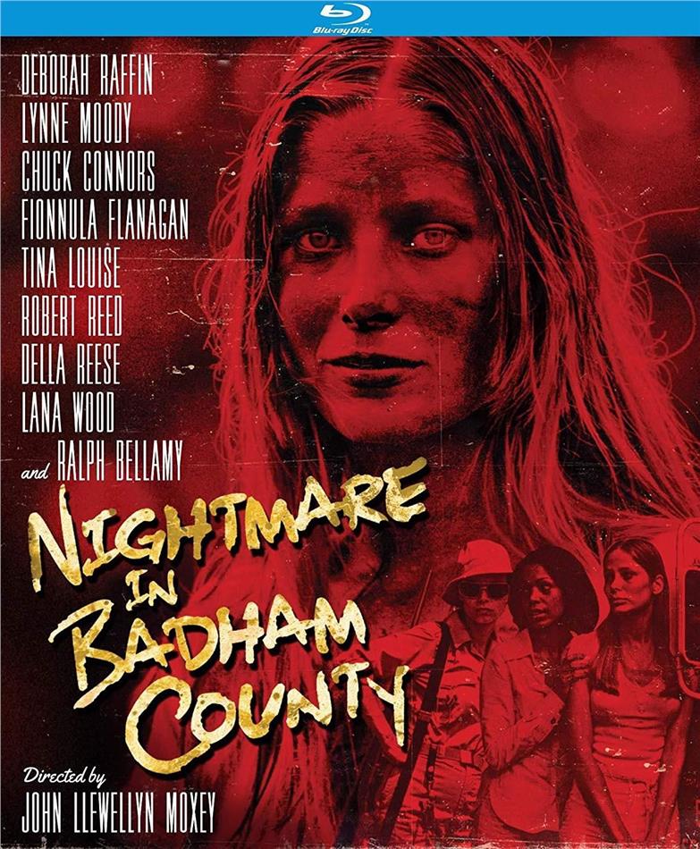 Nightmare in Badham County (1976)