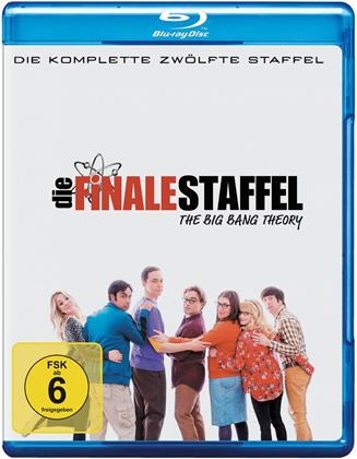 The Big Bang Theory - Staffel 12 - Die finale Staffel (2 Blu-rays)