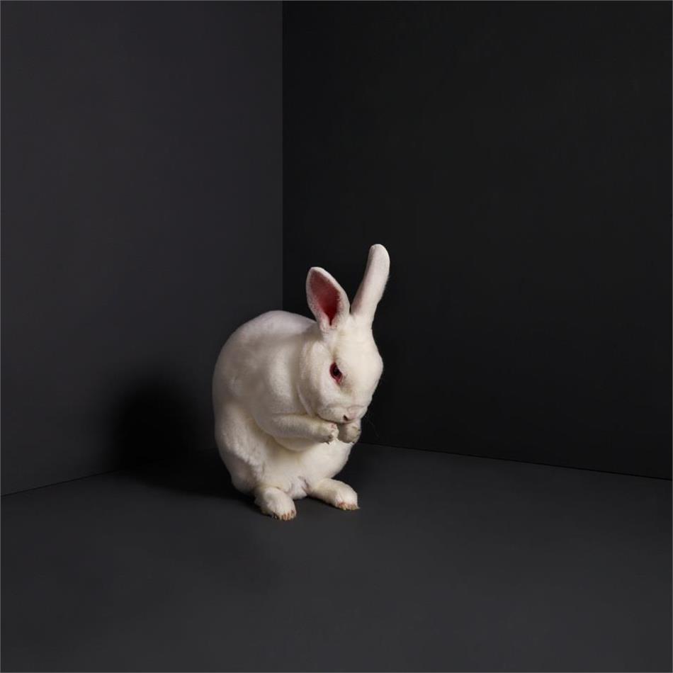 Brume - Rabbits LP