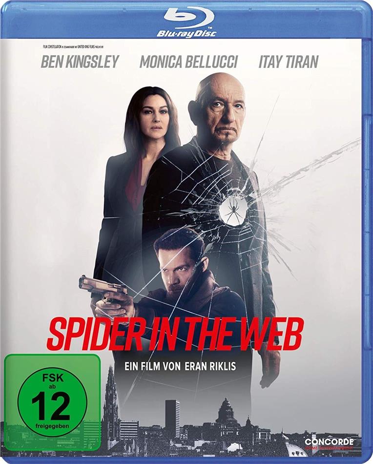 Spider in the Web (2019)