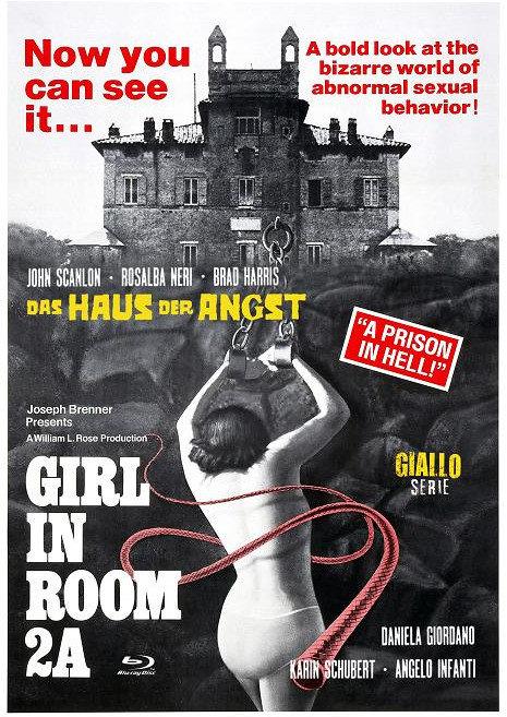 Girl in Room 2A - Das Haus der Angst (1974) Eurocult Collection, Cover D, Giallo Serie, Limited Edition, Mediabook, Blu-ray + DVD