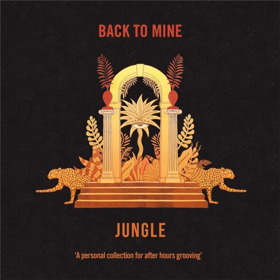 Jungle present... - Jungle Present: Back To Mine Clear Vinyl, 2 LPs