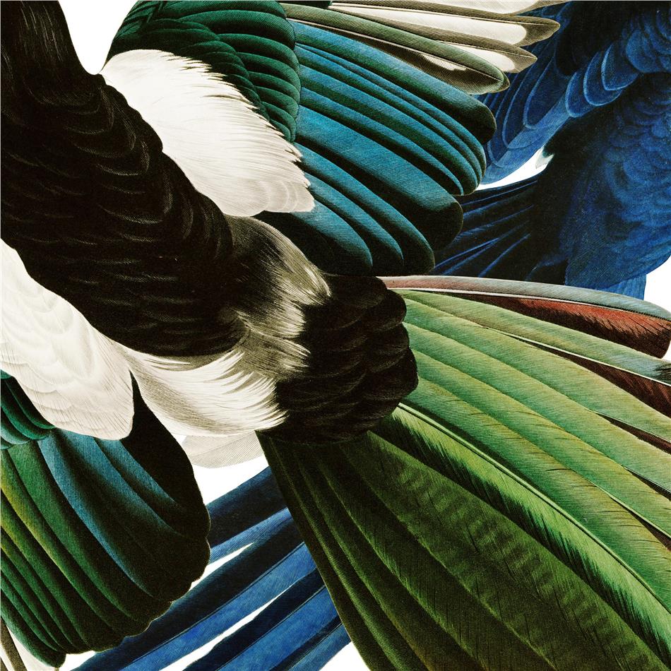 Dachs - Zu Jeder Stund En Vogelgsang LP