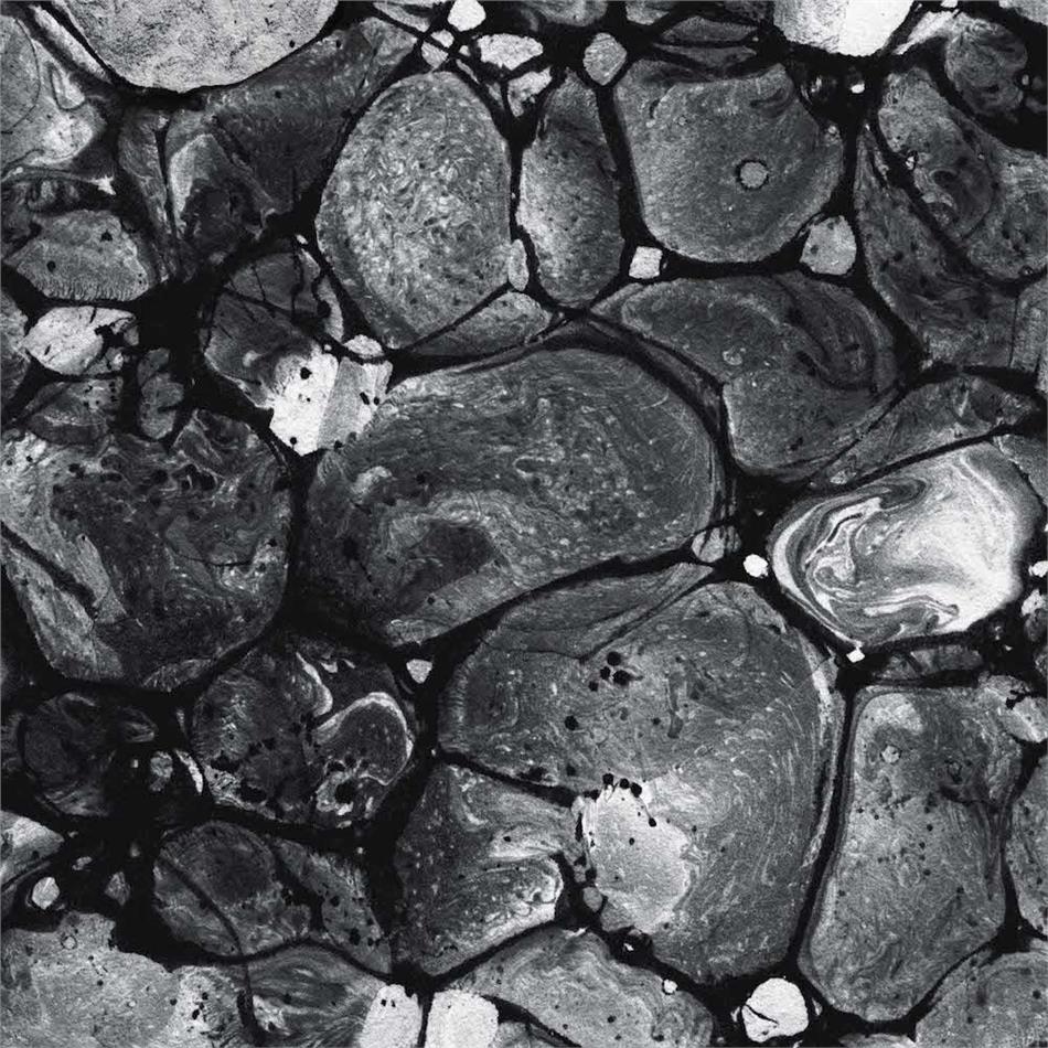 Willibald - Le Roi Est Mort LP